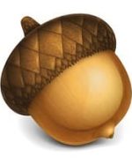 Acorn 8.1.1 Mac