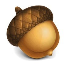 Acorn 8.1.1 Mac