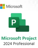 Microsoft Project Professional 2024