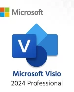 Microsoft Visio Professional 2024